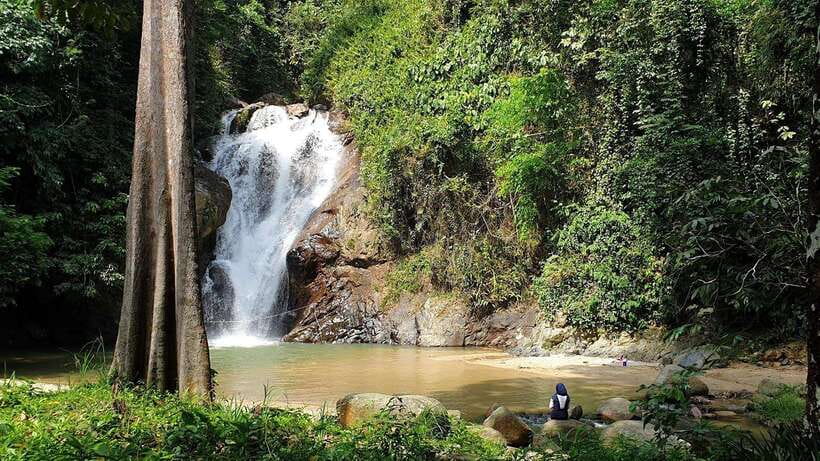 From Kuala Lumpur: Elephant Sanctuary Guided Tour - Why this day trip works