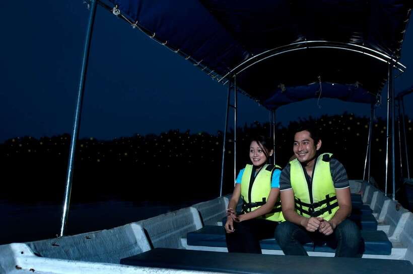 From Kuala Lumpur: Fireflies Tour and Seafood Dinner - Melawati Hill, monkeys, and a touch of local history