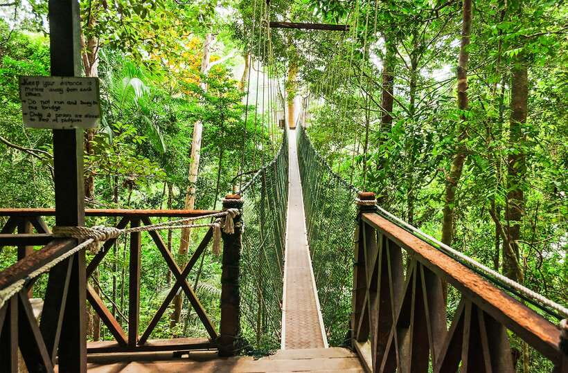 From Kuala Lumpur: Full-Day Taman Negara National Park - Walking Into the Rainforest