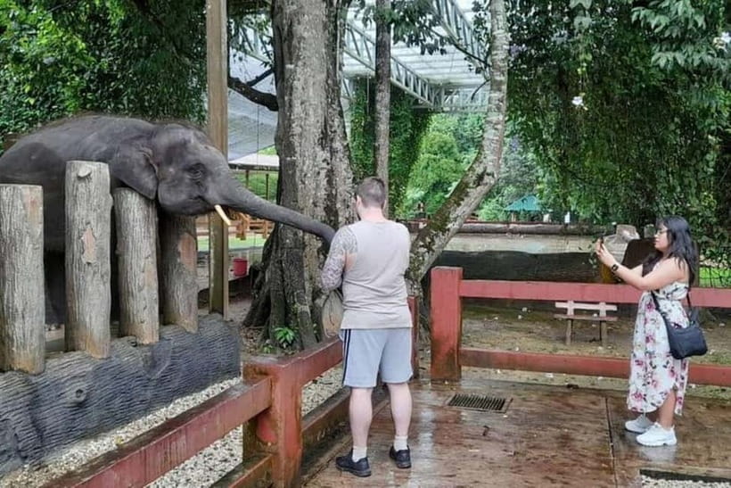 From Kuala Lumpur: Kuala Gandah & Batu Caves Day Trip - Key points to know before booking