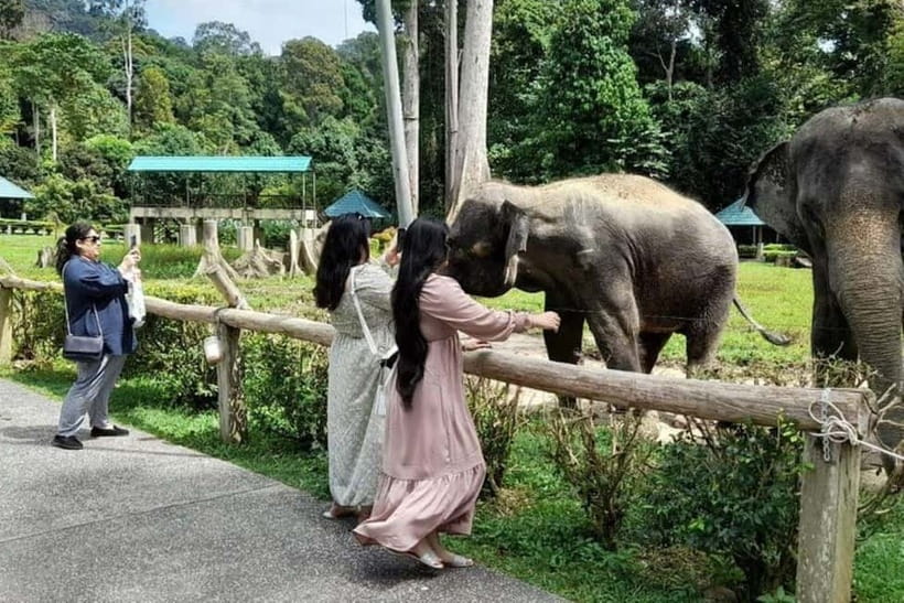 From Kuala Lumpur: Kuala Gandah & Batu Caves Day Trip - Why pair Batu Caves with Kuala Gandah?