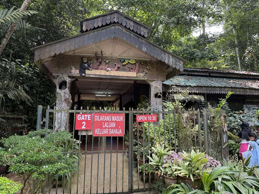 From Kuala Lumpur: Kuala Gandah Elephant Sanctuary Day Trip - Kuala Gandah explains the work behind elephant rescue