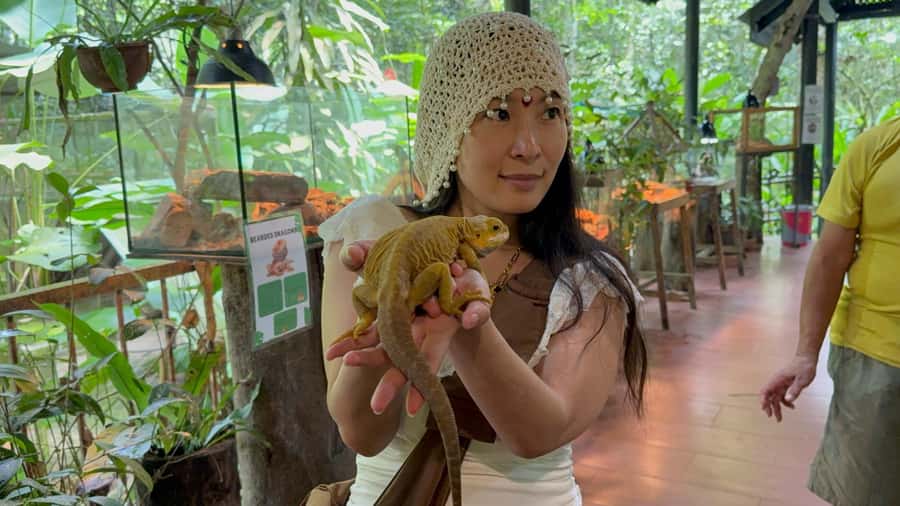 From Kuala Lumpur: Kuala Gandah Elephant Sanctuary Day Trip - The simple lunch keeps the schedule moving