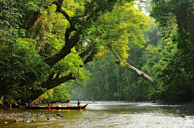 From Kuala Lumpur Taman Negara Day Trip With Lunch - A guided walk through Taman Negara