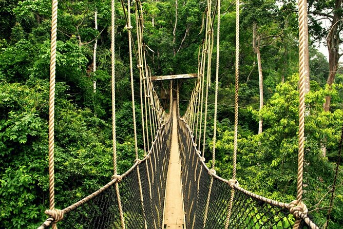 From Kuala Lumpur Taman Negara Day Trip With Lunch - Who should book this Taman Negara trip?