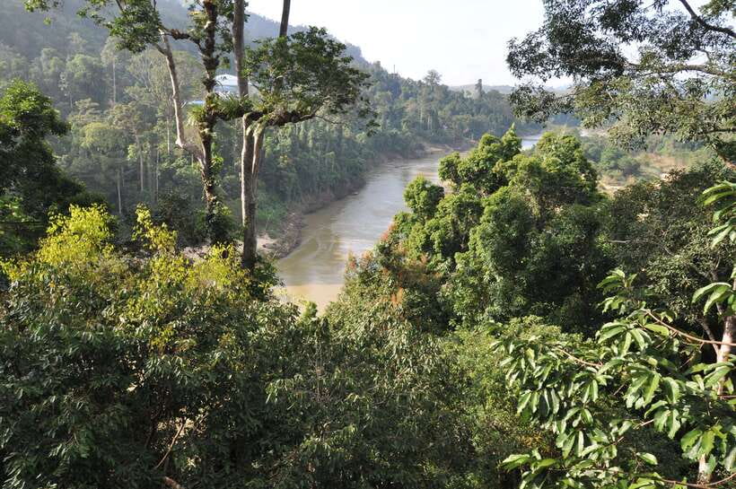From Kuala Lumpur: Taman Negara National Park Trek Day Tour - Taman Negara Day Tour at a Glance