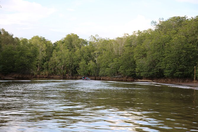 Full Day Bongawan River Cruise with Proboscis Monkey Sightseeing - Guides, crew, and group size