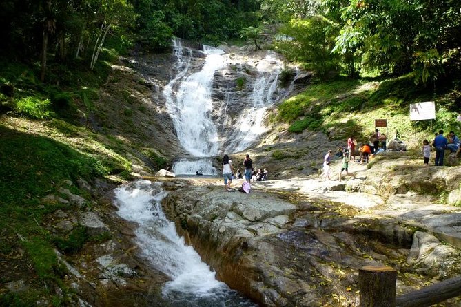 Full-day Cameron Highlands Day Trip from Kuala Lumpur - The real shape of this Kuala Lumpur day trip