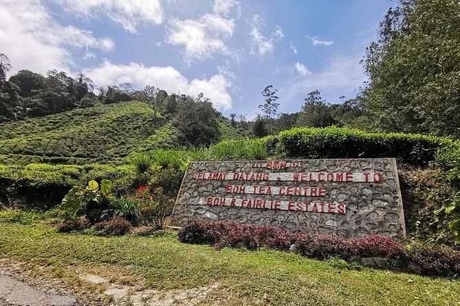 Full-day Cameron Highlands Day Trip from Kuala Lumpur - Strawberry farms and Cactus Valley