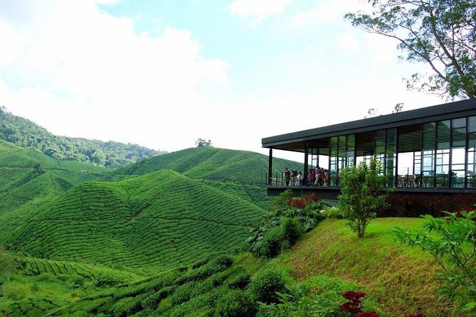 Full-day Cameron Highlands Day Trip from Kuala Lumpur - The car ride is the main tradeoff