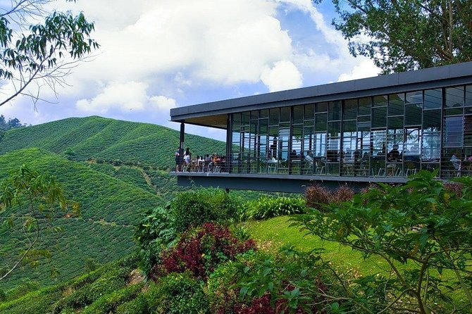 Full Day Cameron Highlands Nature Tour - Butterfly Garden adds color and small creatures