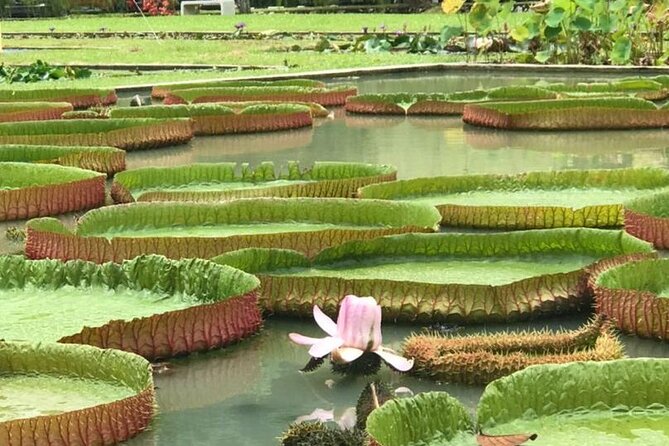 Full Day Flexi Private Tour in Penang Island with Pickup - Chew Jetty and waterfront clan life