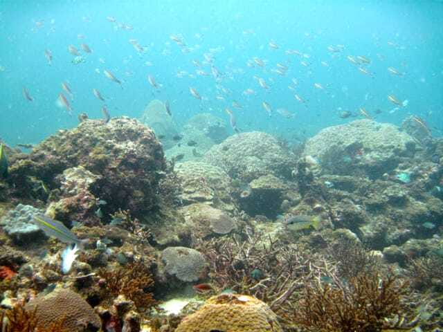 Full-Day Guided Snorkeling Tour from Kota Kinabalu - Booking details and practical advice