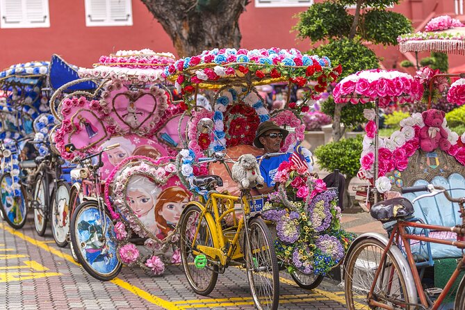 Full day in Malacca Historical Private Tour in Kuala Lumpur - The trishaw ride needs a clear check