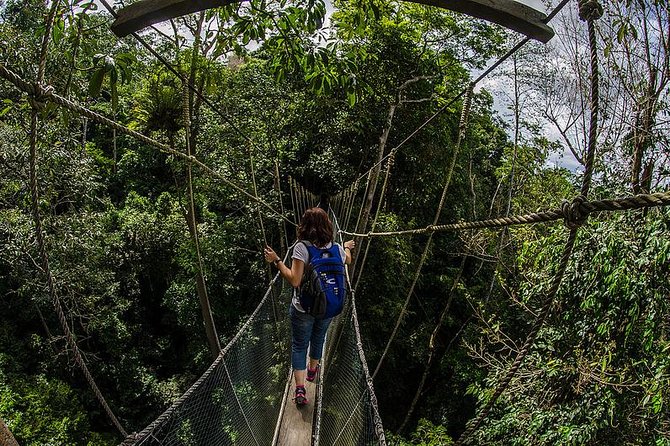 Full-Day Kinabalu Park and Poring Hot Spring Day Trip - Why this day trip makes sense from Kota Kinabalu