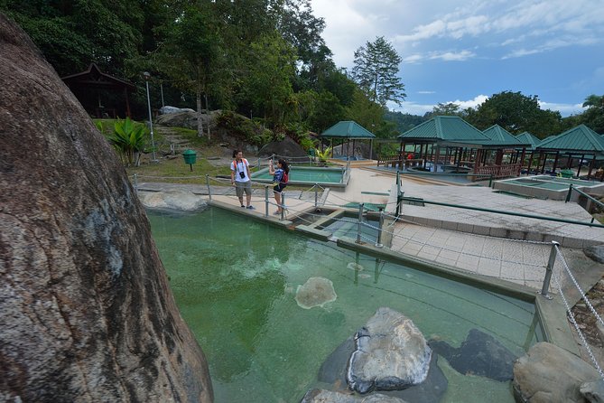 Full-Day Kinabalu Park and Poring Hot Spring Day Trip - Guides can turn a standard stop into a useful nature lesson