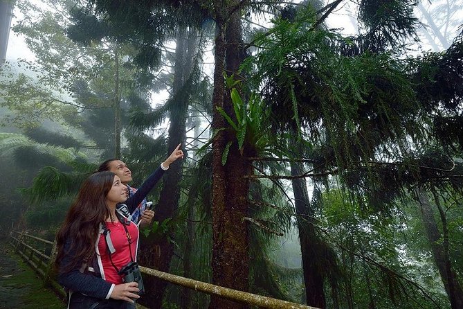 Full-Day Kinabalu Park and Poring Hot Spring Day Trip - Kinabalu Park and its remarkable plant life