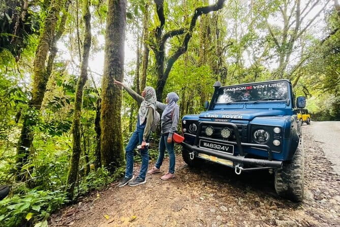 Full Day Mossy Forest Experience - Key details before you book