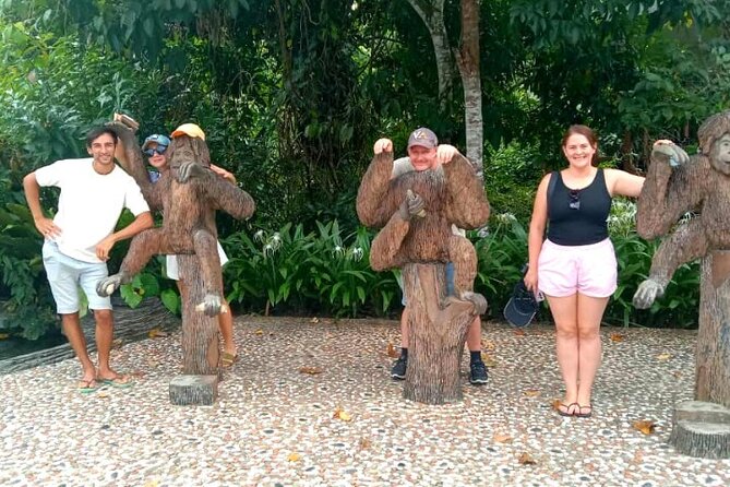 Full Day Orang Utan Sepilok, Proboscis Monkey, Sunbear, RDC - Key points to know before booking