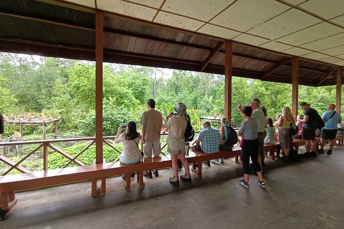 Full-Day Sepilok Orangutan and Proboscis Monkey from Sandakan or Kota Kinabalu - Sepilok and the orangutan rehabilitation mission