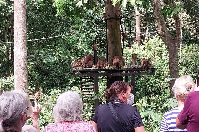 Full-Day Sepilok Orangutan and Sandakan City Trail from Kota Kinabalu - Sepilok makes the early start worthwhile