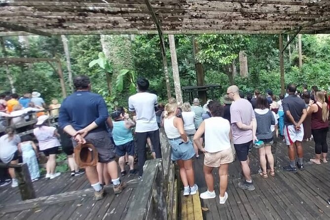 Full-Day Sepilok Orangutan and Sandakan City Trail from Kota Kinabalu - What the $131 price really covers