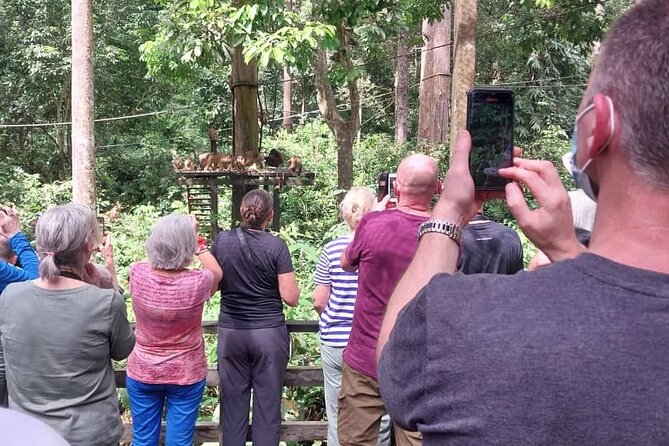 Full-Day Sepilok Orangutan and Sandakan City Trail from Kota Kinabalu - Guide service can shape the whole day