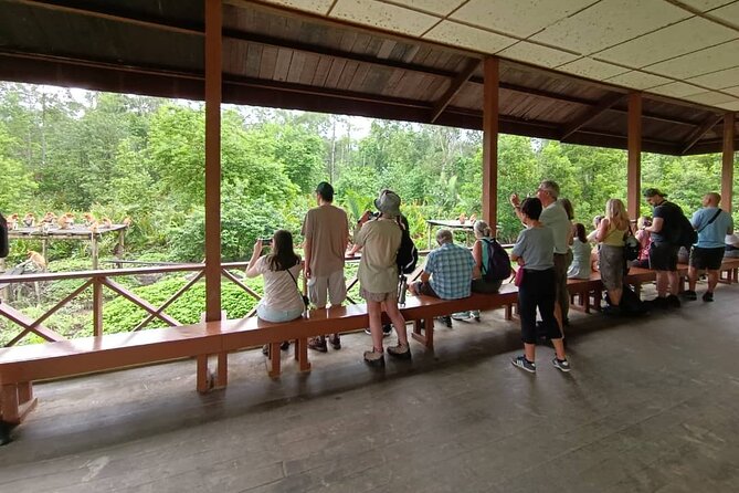 Full-Day Sepilok Orangutan and Sandakan City Trail from Kota Kinabalu - The rainforest trail adds needed breathing room