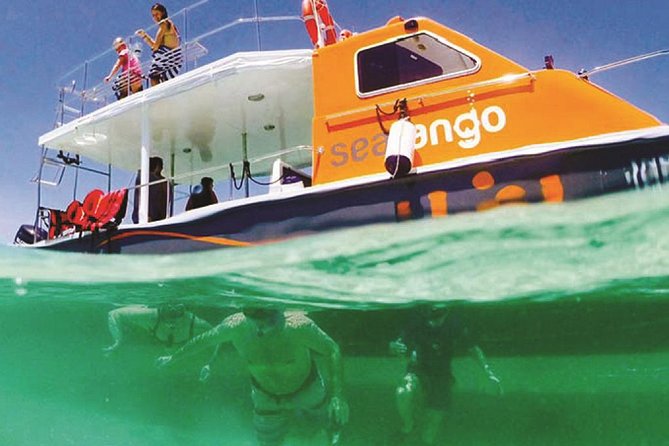 Fun Boat Snorkeling and Island Visit from Kota Kinabalu - Two snorkeling stops just off Kota Kinabalu