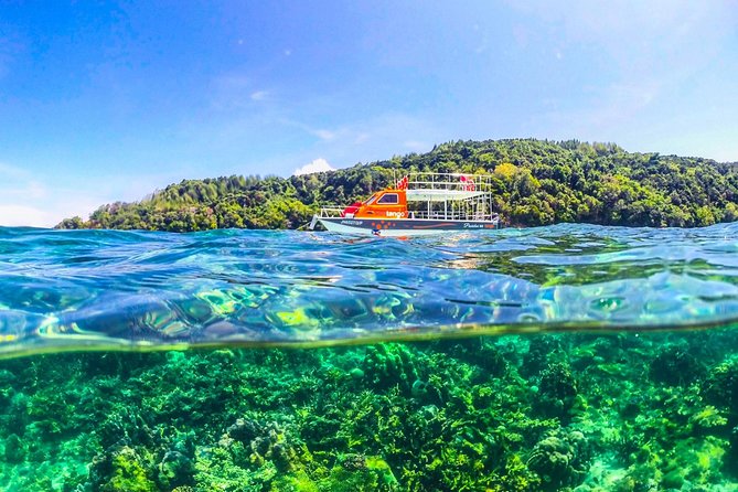 Fun Boat Snorkeling and Island Visit from Kota Kinabalu - What the positive feedback tells you