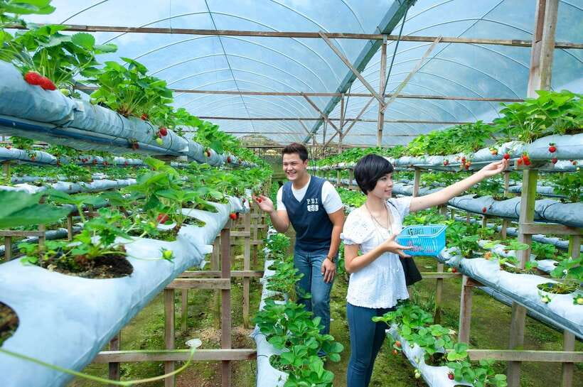 Genting Highland: Private Day Trip from Kuala Lumpur - Casino, shopping, and theme parks