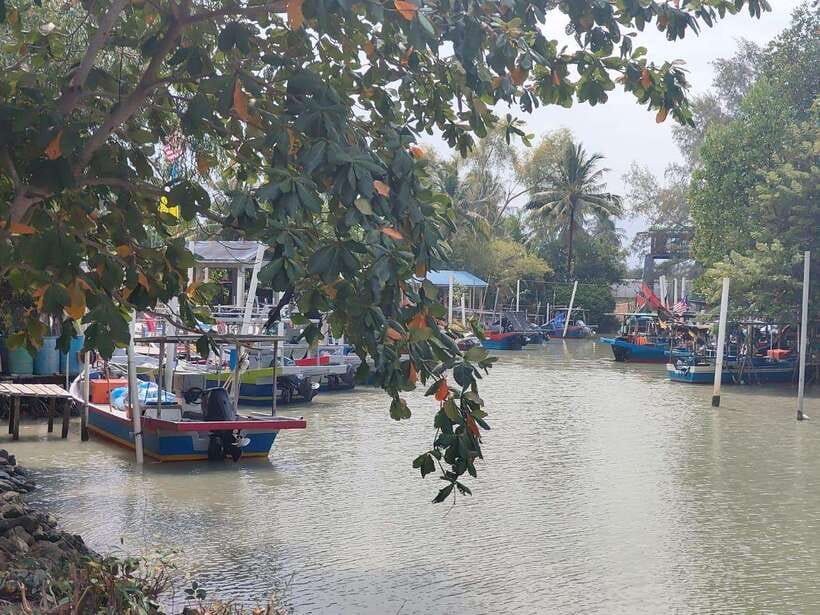 George Town: Balik Pulau Countryside Morning Cycling Tour - Cycling through paddy fields and village lanes