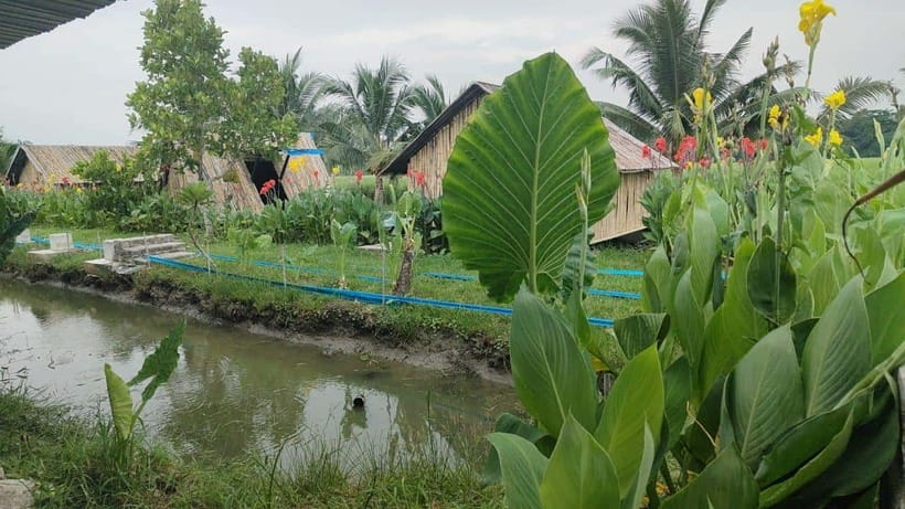 George Town: Balik Pulau Countryside Morning Cycling Tour - The bicycle issue you should take seriously