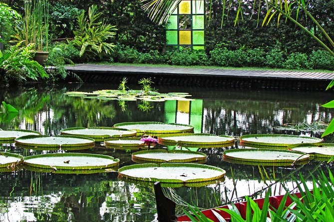 George Town Highlights & Upside Down Museum tours (4 Hours) - Coffee Tree for white coffee and pewter craft