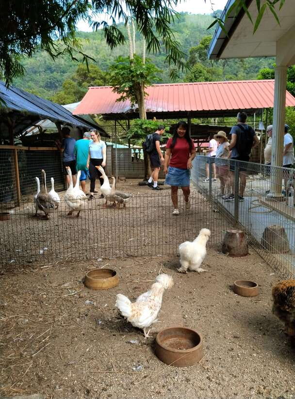George Town, Penang: Malay Countryside Cycling - A gentle ride through traditional villages
