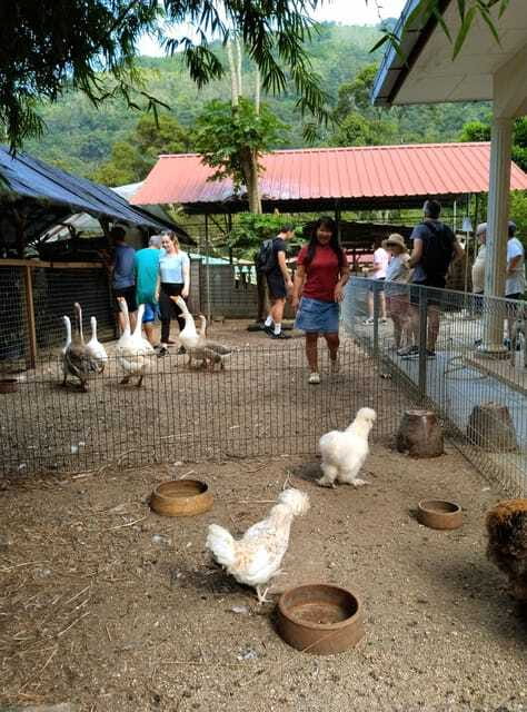 George Town, Penang: Malay Countryside Cycling - Plantations, orchards, canals, and local industries