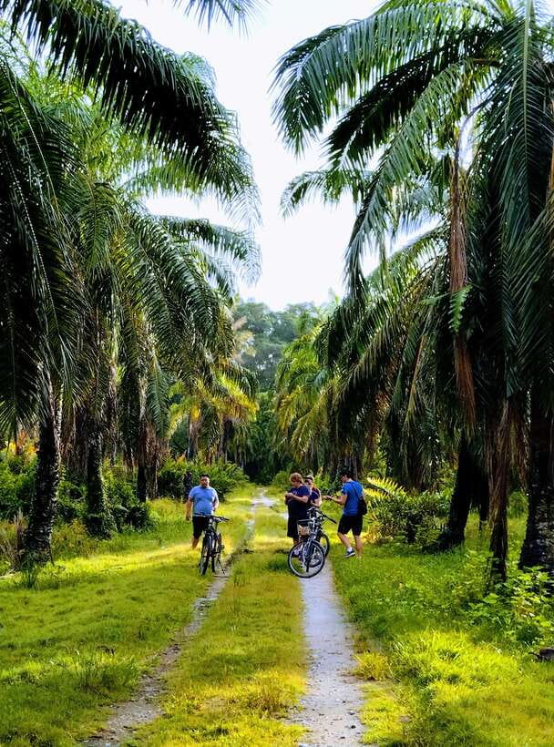 George Town, Penang: Malay Countryside Cycling - Meeting in George Town and reaching the bike center