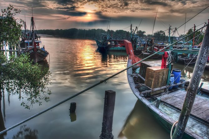 Glowing Kuala Selangor Firefly Tour - Why this evening outside Kuala Lumpur works