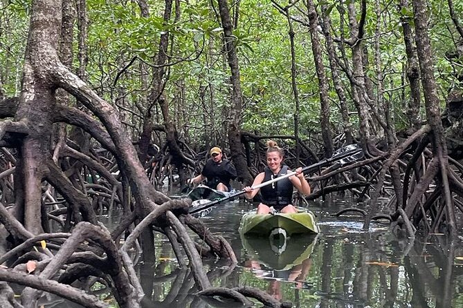 Half-Day Geopark Mangrove Kayaking Adventure - Key points to know before booking