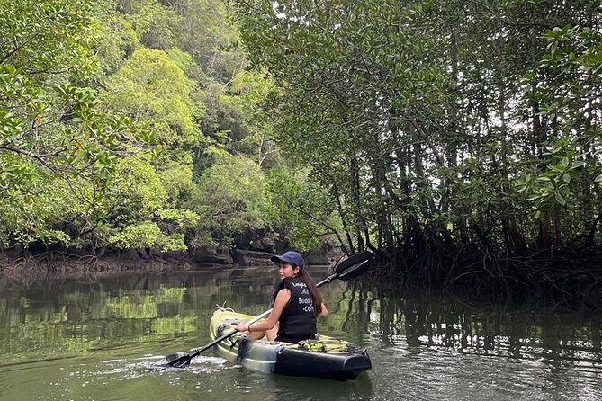 Half-Day Geopark Mangrove Kayaking Adventure - Paddling the first mangrove channels