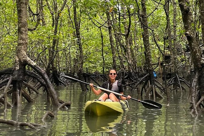 Half-Day Geopark Mangrove Kayaking Adventure - Limestone walls and the second, more demanding channel