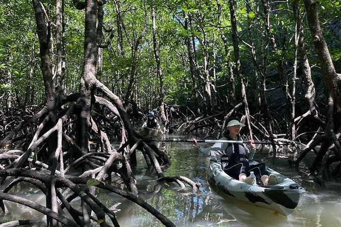 Half-Day Geopark Mangrove Kayaking Adventure - Lunch at the fish farm