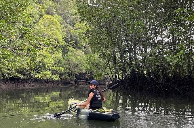 Half-Day Geopark Mangrove Kayaking Adventure - What the $67.68 price includes