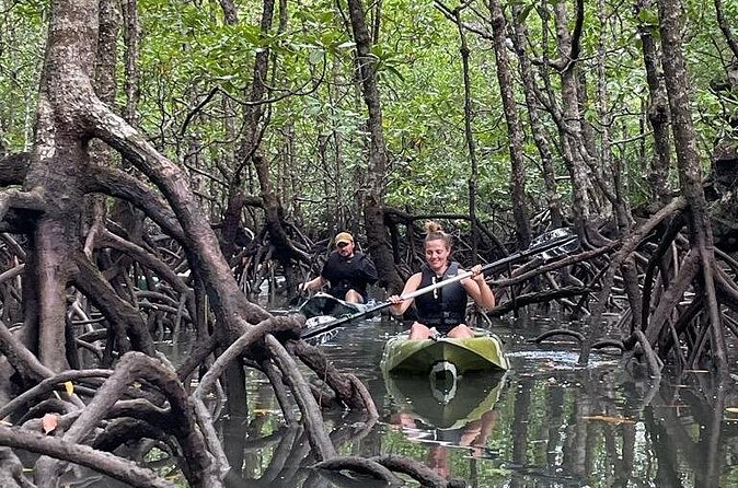 Half-Day Geopark Mangrove Kayaking Adventure - Who will enjoy this half-day adventure