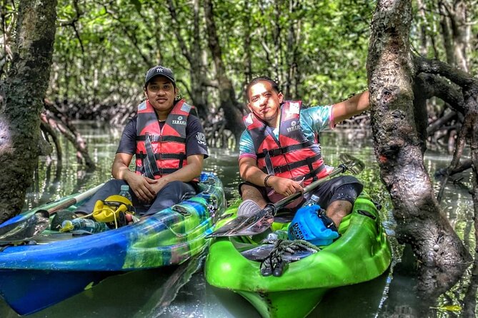 Half-Day Mangrove Kayaking in Langkawi - Why this Langkawi kayak trip is worth considering