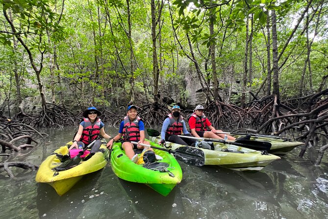 Half-Day Mangrove Kayaking in Langkawi - What the $77.57 price buys you