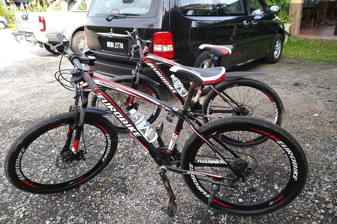 Half-Day Penang Countryside Cycling Tour - What the bicycles are really like
