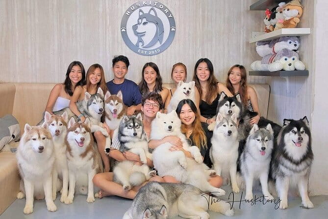 Huskitory Connecting People and Dogs - Key points at a glance