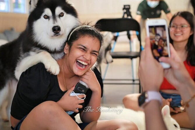 Huskitory Connecting People and Dogs - Why the dogs are more than a photo backdrop