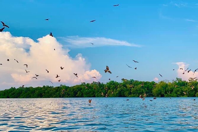 Instagrammable Kuala Selangor Sky Mirror Tour with Transfer - Tide times, weather, and the risk of missing the famous picture